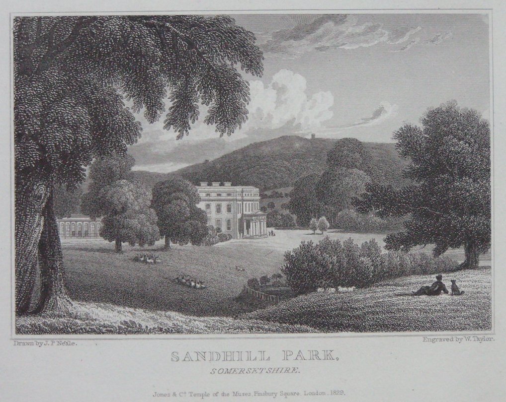 Print - Sandhill Park, Somersetshire - 